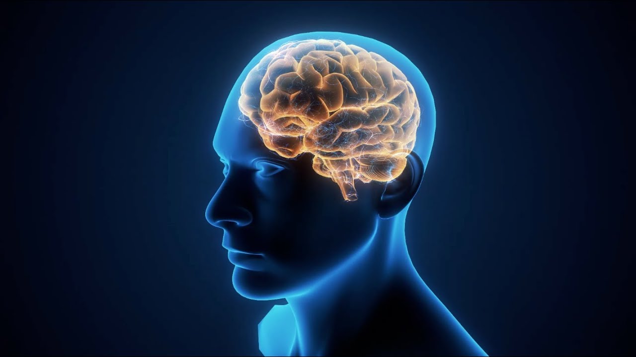 Untangling The Brain Circuits In Mental Illness - YouTube