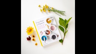 Natalie Stopka Online Book Launch!