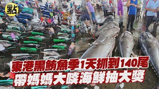 【點新聞】東港黑鮪魚季開跑！1天抓到140尾 帶媽媽大啖海鮮抽大獎