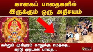 கரடு முரடான பாதை... கானகப் பாதைகளில் இருக்கும் ஒரு அதிசயம் | sabarimalai Ayyappan temple | kerala