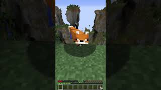 My pet fox tried to fly in Minecraft! 😳 #Shorts