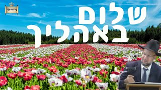 איך זוכים לשלום בית אמיתי? שלום באהליך - נקודות אור לשמחה ושלוה ולשלום בית  | הגר\