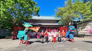 香港陳國健龍獅團 國棟體育會 @ Action 祝大家蛇年行大運，2025風生水起 HK James Chan Lion Dance