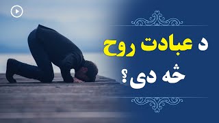 د عبادت روح څه دی؟