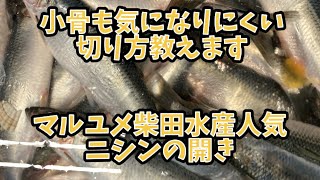 【マルユメ柴田水産仕事風景ニシンの干物】捌く所から真空して出来上がりまでお見せします。