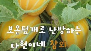 난방을 보온덮개로 성주참외