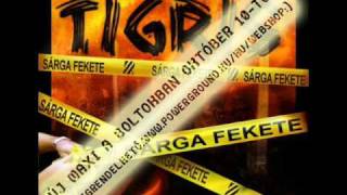 Tigris - Sárga fekete