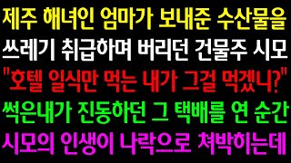 (실화사연) 제주 해녀인 엄마가 보낸 수산물을 쓰레기 취급하며 버린 시모 \