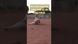 kucing tertabrak, responnya santai