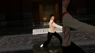 Tai Chi | 文有太极安天下，动静相间，阴阳相济，传承中华文化  #taichi #kungfu #taichiquan #功夫 #太极 #martialarts #wushu #taiji