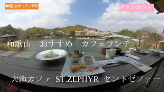 和歌山おすすめカフェランチ【和歌山かってにPR】第73回　大池カフェST.ZEPHYR（セントゼファー）和歌山電鐵たま電車と桜とカフェランチを楽しむ　桜情報2021年　大池遊園　ジェラート風水花