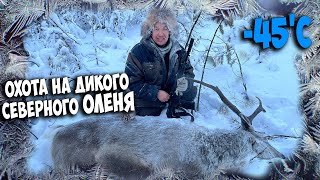 Охота на ДИКОГО СЕВЕРНОГО ОЛЕНЯ в -45'С