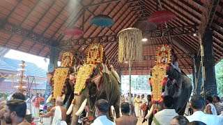 കോഴിക്കോട് ശ്രീകണ്ഠേശ്വര ക്ഷേത്രത്തിൽ ആനകൾഅണിനിരന്ന ശിവരാത്രി ആഘോഷം |Sreekanteswara Temple Kozhikode