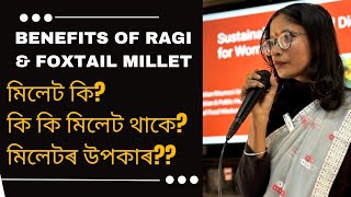 Millet মিলেট কি? Types of Millets মিলেট কি কি থাকে? মিলেটৰ উপকাৰ? Benefits or millets? #millets