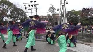 皇學館大学“雅”[結夢雅]20151129_四日市よさこい祭り〜やったろ舞〜（諏訪公園）[4K]