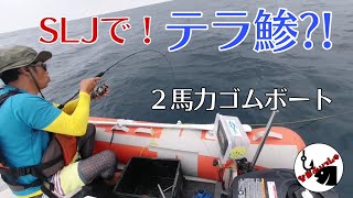 【2馬力ゴムボート】SLJで！まさかのテラ鯵が?!