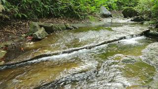 大滝沢の流れー只見町恵みの森