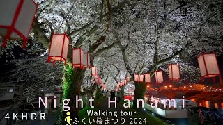 [4KHDR]Night Walking tour Fukui Cherry Blossom Festival 2024[Japan]ふくい桜まつり 2024 夜の部 散策