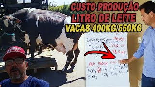 CUSTOS PARA PRODUZIR 1L DE LEITE COM VACAS DE 400KG/550KG EM 1 HECTARE!!