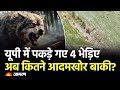 Hindi News Live: Bahraich Wolf Attack | Weather Update | Elvish Yadav | Today News | Breaking News