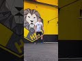 hmdlockdownchallenge workout 21