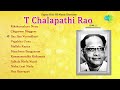 super hit telugu songs of music director t. chalapathi rao best hits jukebox kommameedha koilamma