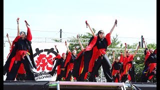 [4K]ちゃわん娘　2017犬山踊芸祭 1日目　石作公園メイン会場（中央）