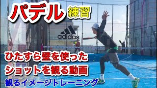 【パデル 練習】ひたすらレボテを観る動画！イメージトレーニングに！