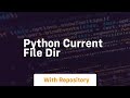python current file dir