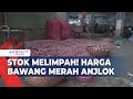 Stok Melimpah, Harga Bawang Merah Anjlok