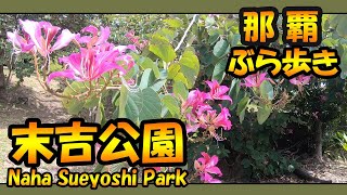 那覇ぶら歩き  首里末吉公園 ２月９日    Naha Sueyoshi Park 2021  Okinawa