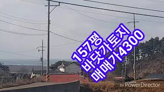 (물건번호19)바닷가 157평. 매매가4300. (태안부동산.태안전원주택지.태안땅.태안공인중개사.태안토지.바닷가토지.세연부동산.01074716800  )