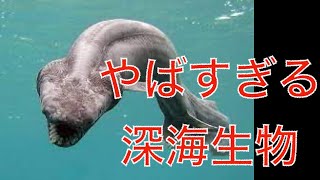 やばすぎる深海生物５選＃深海＃生物