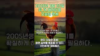 2025년 2월 20일 닭띠,개띠,돼지띠 오늘의 운세 #행운 #재물 #운세 #닭띠 #개띠 #돼지띠