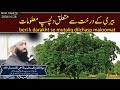 beri k darakht se mutaliq dilchasp maloomat || Maulana Qari Muhammad Tayyab Qasmi D.B