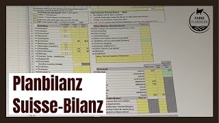 Suisse-Bilanz | Büroarbeit | Jörg Büchi