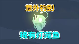 意外钓到深海中沉睡的“灯笼鱼”【小猫钓鱼】