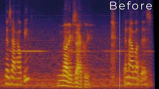 Absentia DX Hum Remover