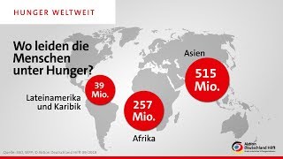 So sieht weltweit die Ernährungssituation aus