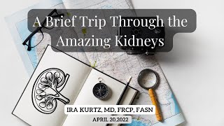 A Brief Trip Through the Amazing Kidneys | Ira Kurtz, MD, FRCP, FASN