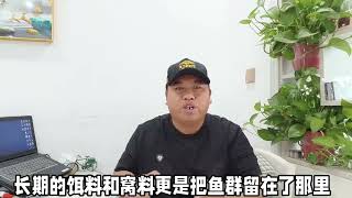 狂拉爆护的钓鱼网红地，为何你钓不到鱼？深度解析钓鱼硬知识 #钓鱼技巧 #钓鱼知识 #原来钓鱼才是抖音运动顶流 #鲫鱼 #野钓技巧