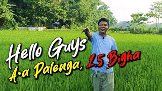 A·a Palenga, 1.5 Bigha | Dudhnoi Goalpara Assam