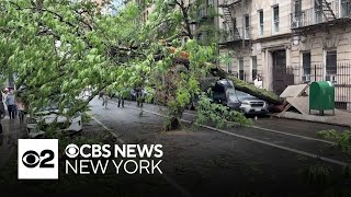 Tri-State Area cleaning up from weekend storm damage | Team coverage