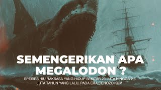 MENDALAMI IKAN PURBA MEGALODON