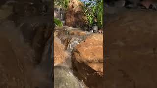 Heading Upstream a Pondless Waterfall