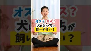 あなたはオス派？メス派？どっちが飼いやすいとかあるの？#犬のいる暮らし #puppy #shorts