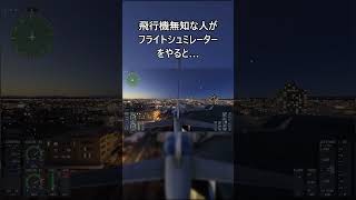 飛行機に興味ないやつが「マイクロソフトフライトシミュレーター」をやると