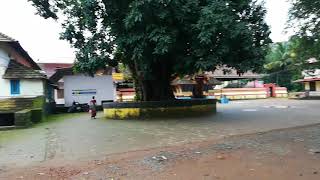 Nelluvay Dhanwanthari Temple