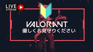 【VALORANT】初心者のゴールドコンペ！