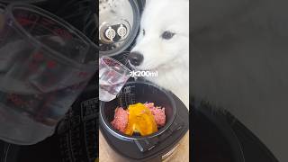 炊飯器で愛犬にカボチャスープつくったら大喜びでした！水分少なすぎてペーストになりました… #サモエド #サモエドスマイル #大型犬 #炊飯器レシピ